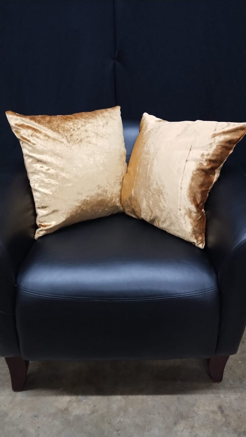 Product 254