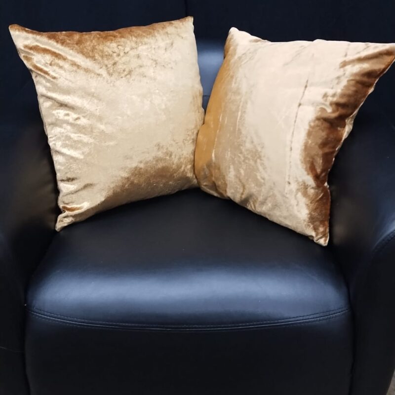 Product 254