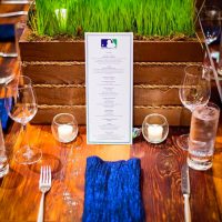 Nate Gordon - Posh & Luxe Event Furniture