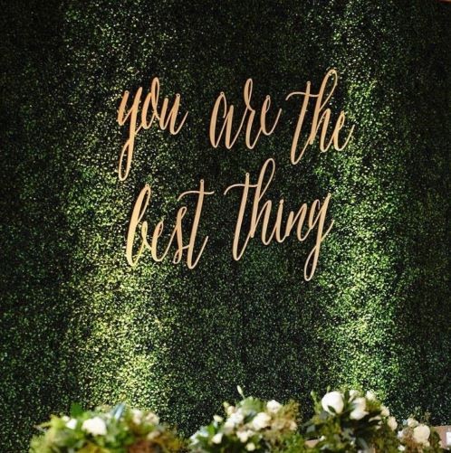 Hedge Wall - Image 4