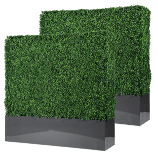 Hedge Wall - Image 7