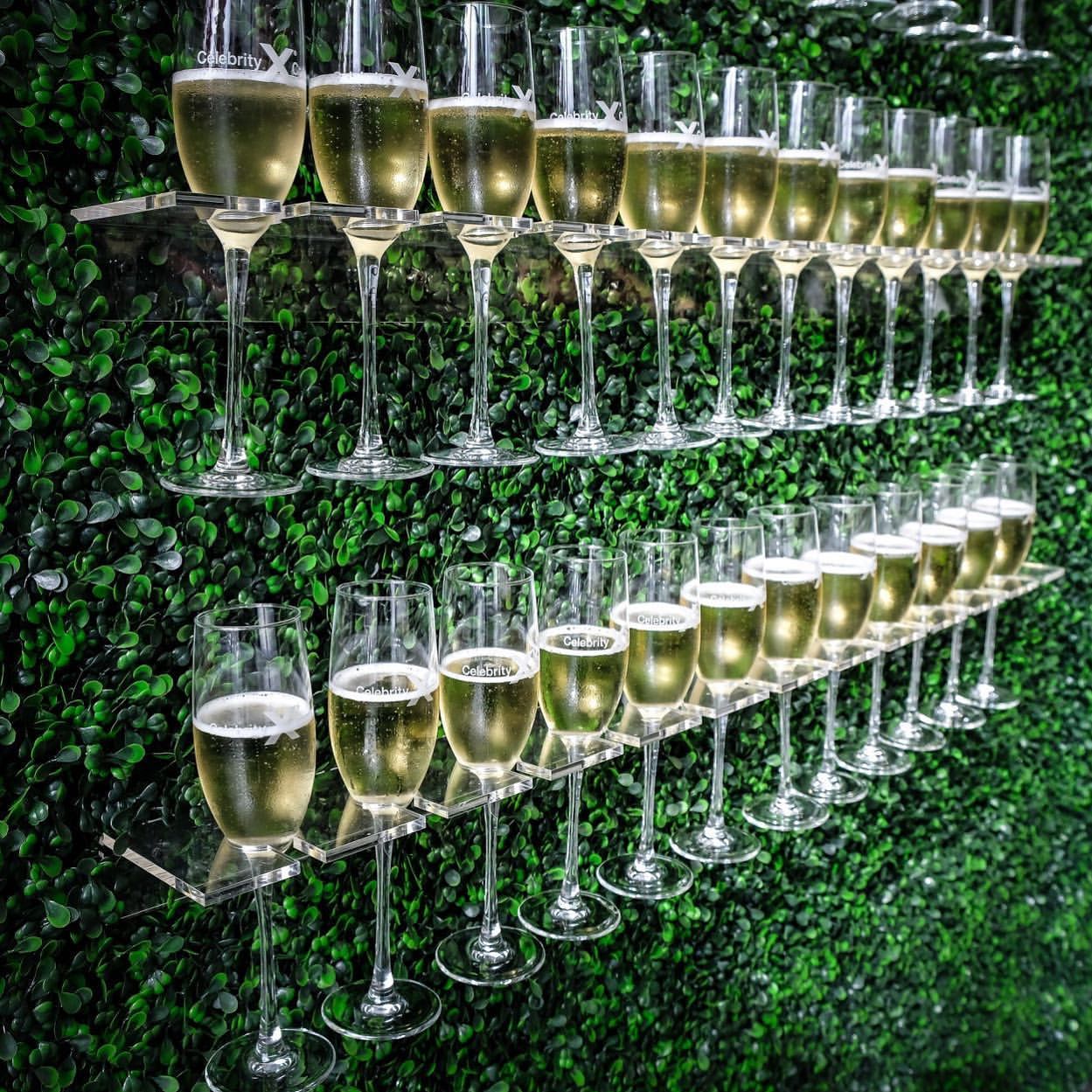 Champagne Hedgewall