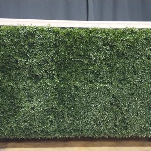 Product 141