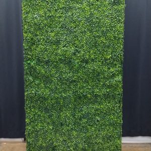 Product 142