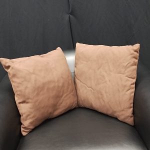 Product 244