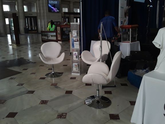 Swan Chair - Image 3